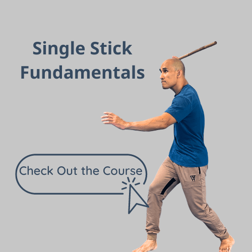 single stick fundamentals